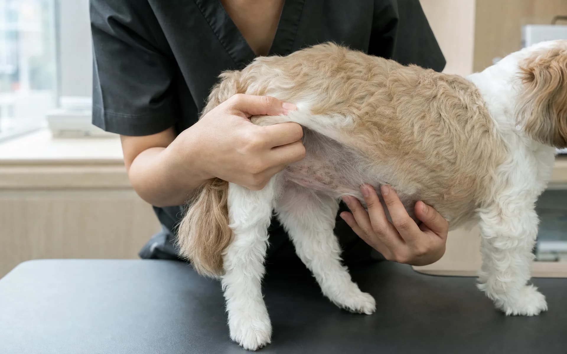 피부 상태를 확인하는 손